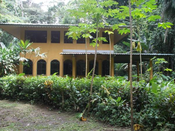 Costa Rica Real Estate - Cahuita - Rainforest
